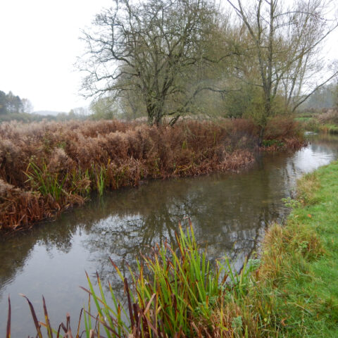 River Coln