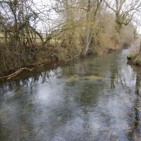 River Dickler