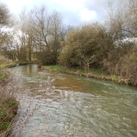 River Windrush