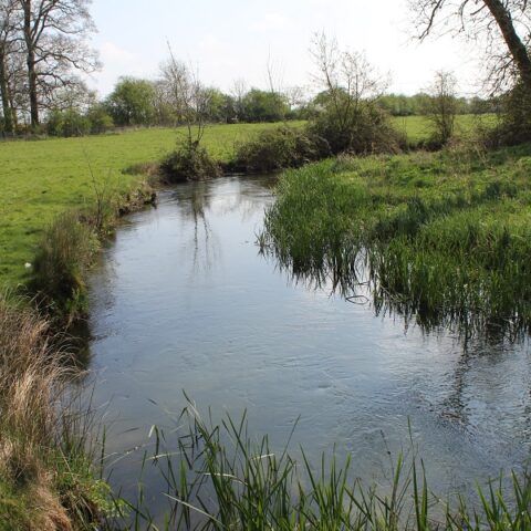 River Leach