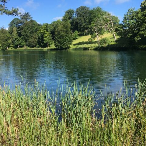 Cornbury Park