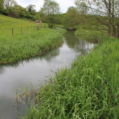 River Glyme