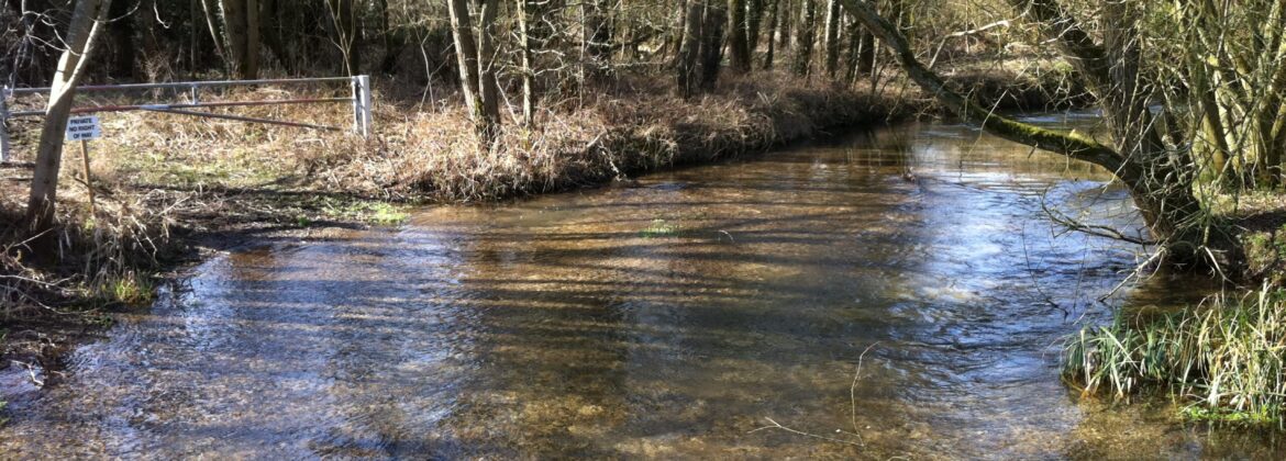 Ampney Brook