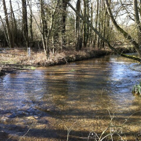 Ampney Brook